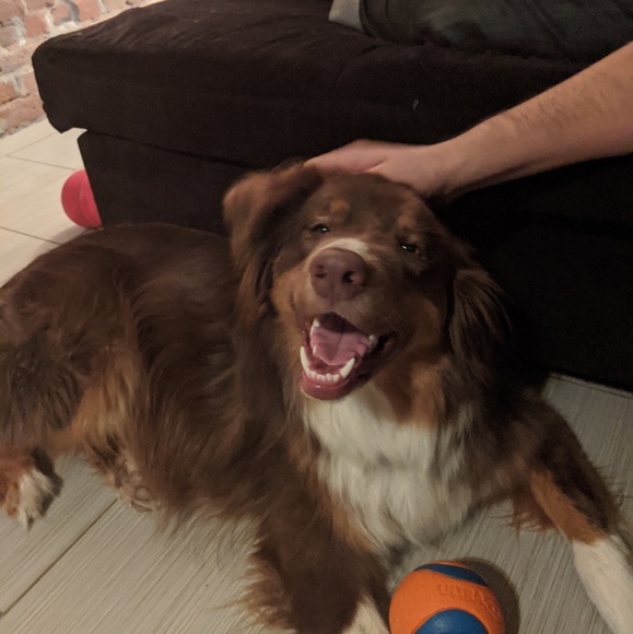 Meet your Posher, Ashley - Picture 1 of 1